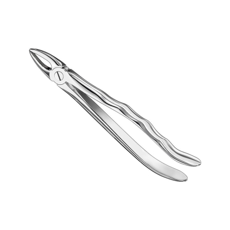 Extracting forceps, anat.